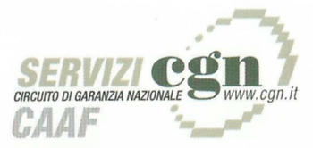 Servizi CGN CAAF